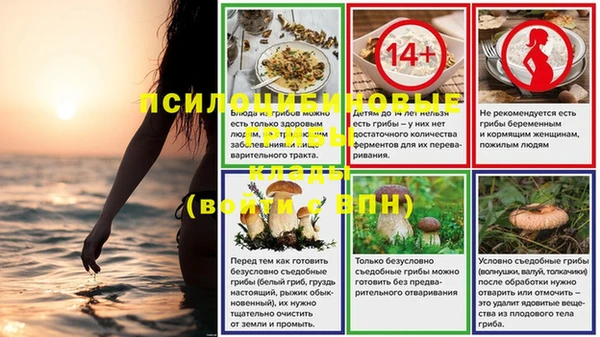 твердый Горнозаводск
