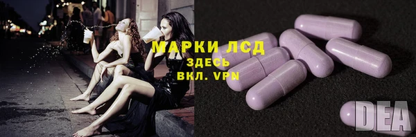 спиды Горняк