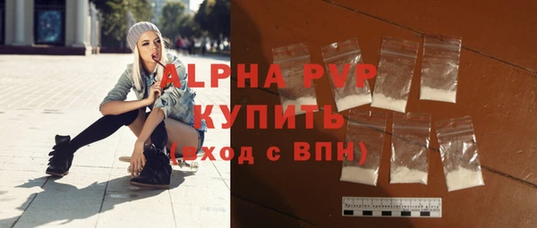 шишки Горно-Алтайск