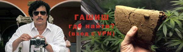 шишки Горно-Алтайск