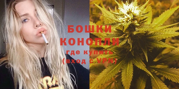 шишки Горно-Алтайск