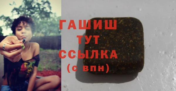 шишки Горно-Алтайск