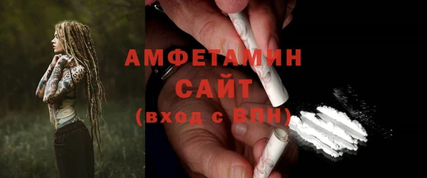 шишки Горно-Алтайск