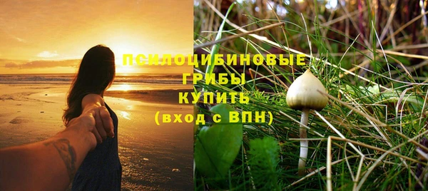 шишки Горно-Алтайск