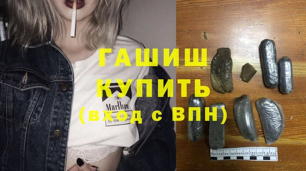 шишки Горно-Алтайск