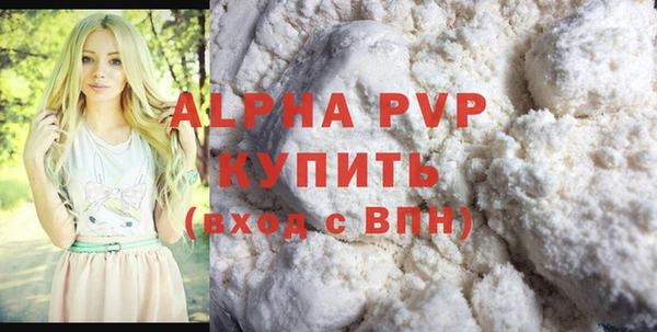 шишки Горно-Алтайск