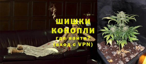 спиды Горняк