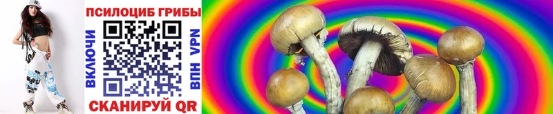 Купить где  Туапсе  Псилоцибиновые грибы мицелий 